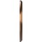 Ekena Millwork Berkshire PVC Medallion (Canopies up to 4 1/2"), 10"OD x 3 1/2"ID x 3/4"P, Metallic Antique Brass CMP10BECAB - alternate 3